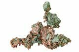 Natural, Native Copper Formation - Michigan #239248-1